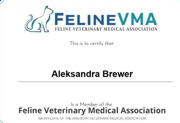 Certificate of membership from the Feline Veterinary Medical Association awarded to Aleksandra Brewer.