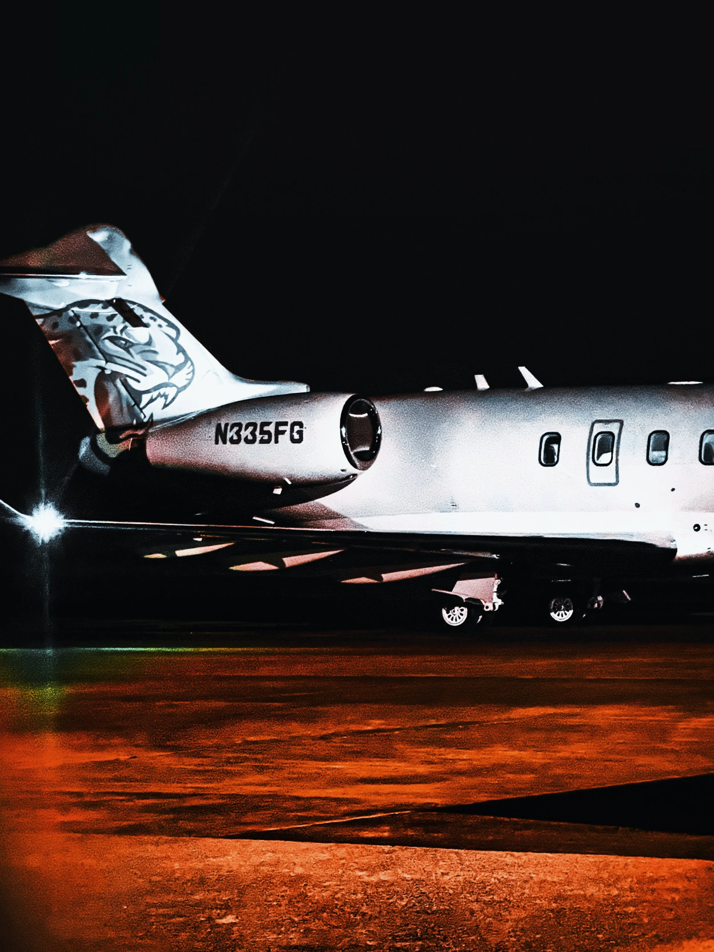 Nighttime photo of a private jet with the registration N335FG, parked on a tarmac, illuminated by lights, with a tiger face design on the tail.