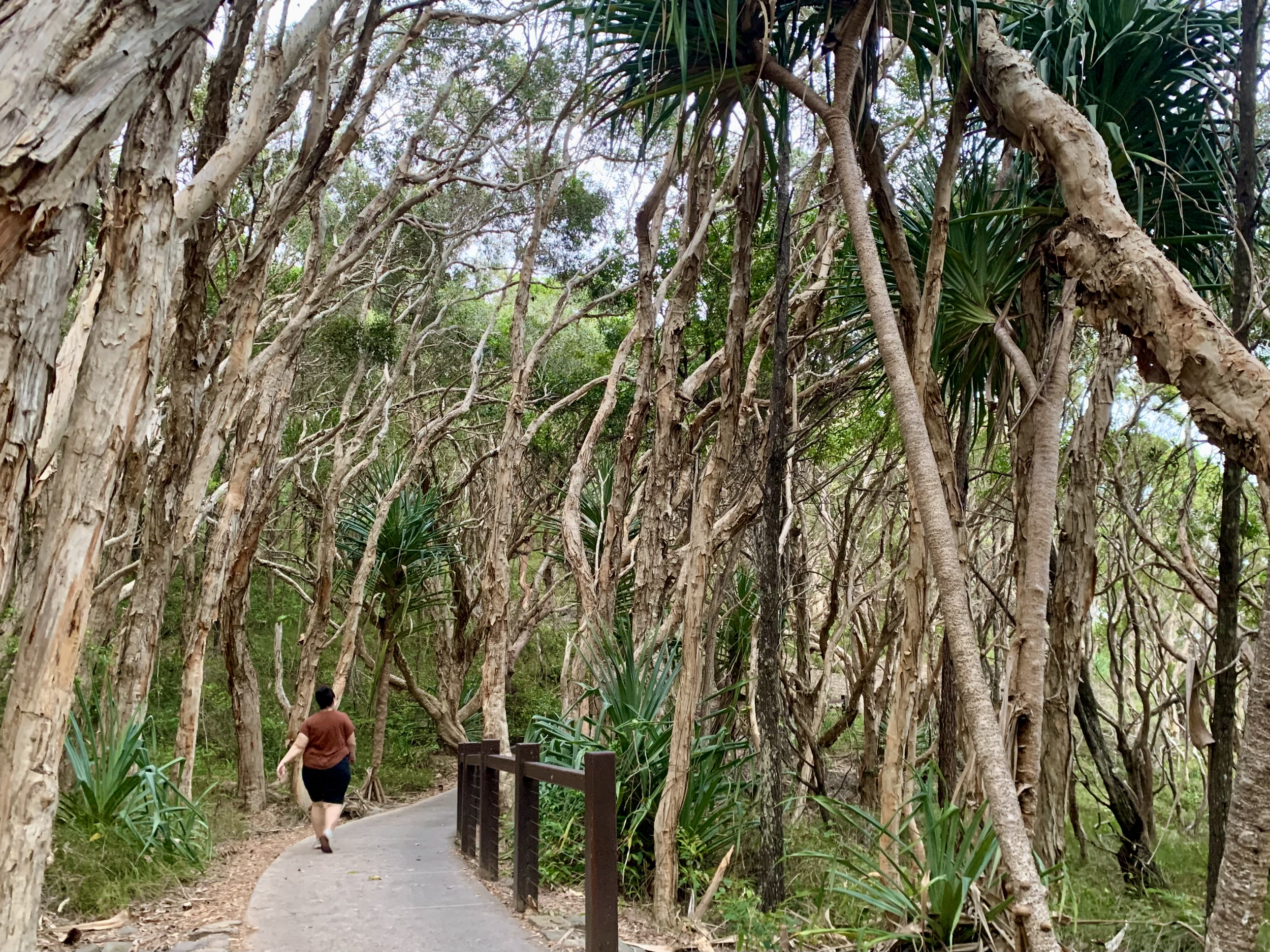 Evolution | A deeper, more complete Walk & Talk experience