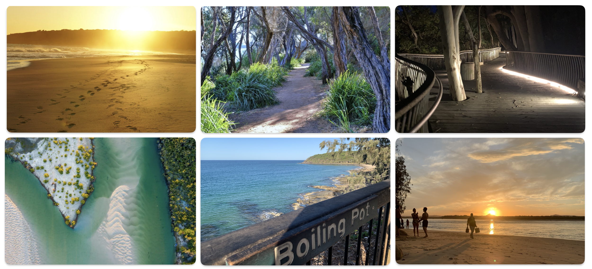 Experience a guided walk & talk session amongst the natural beauty that Noosa has on offer.
