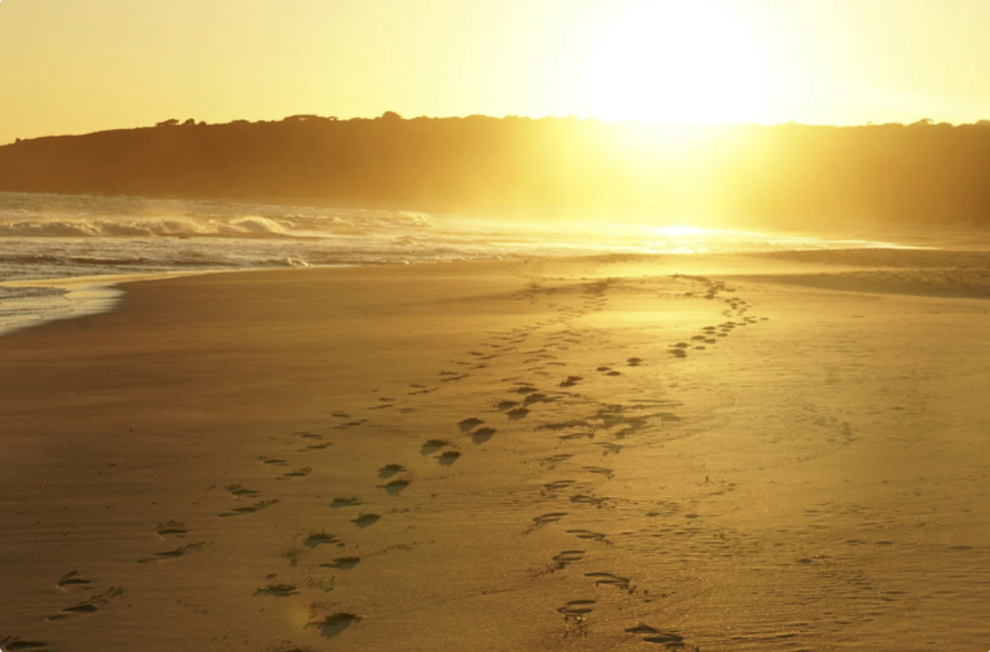 Integration | Returning to what's unfolding