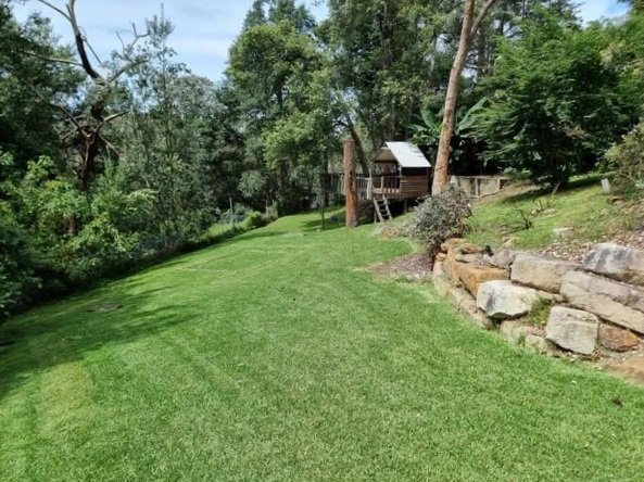 A lush green backyard with a gently sloping lawn, tall trees providing shade, and a small wooden shed or playhouse in the background, surrounded by natural foliage and large rocks.