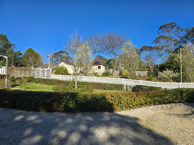 Residential backyard with trees, shrubs, a white picket fence, and houses in the background under a clear blue sky.