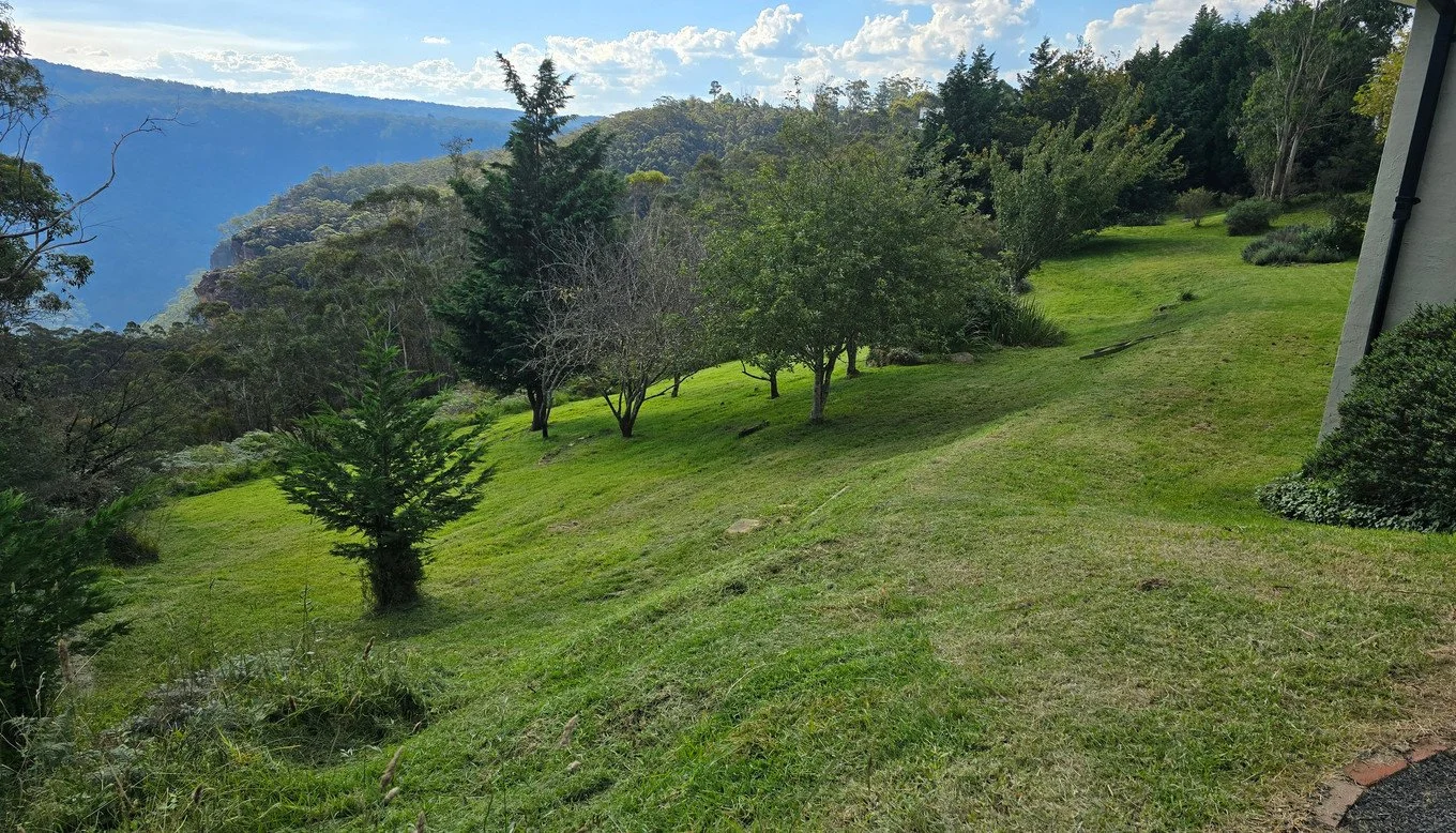 A lush green hillside with various trees and shrubs, overlooking distant mountain ranges under a partly cloudy sky.