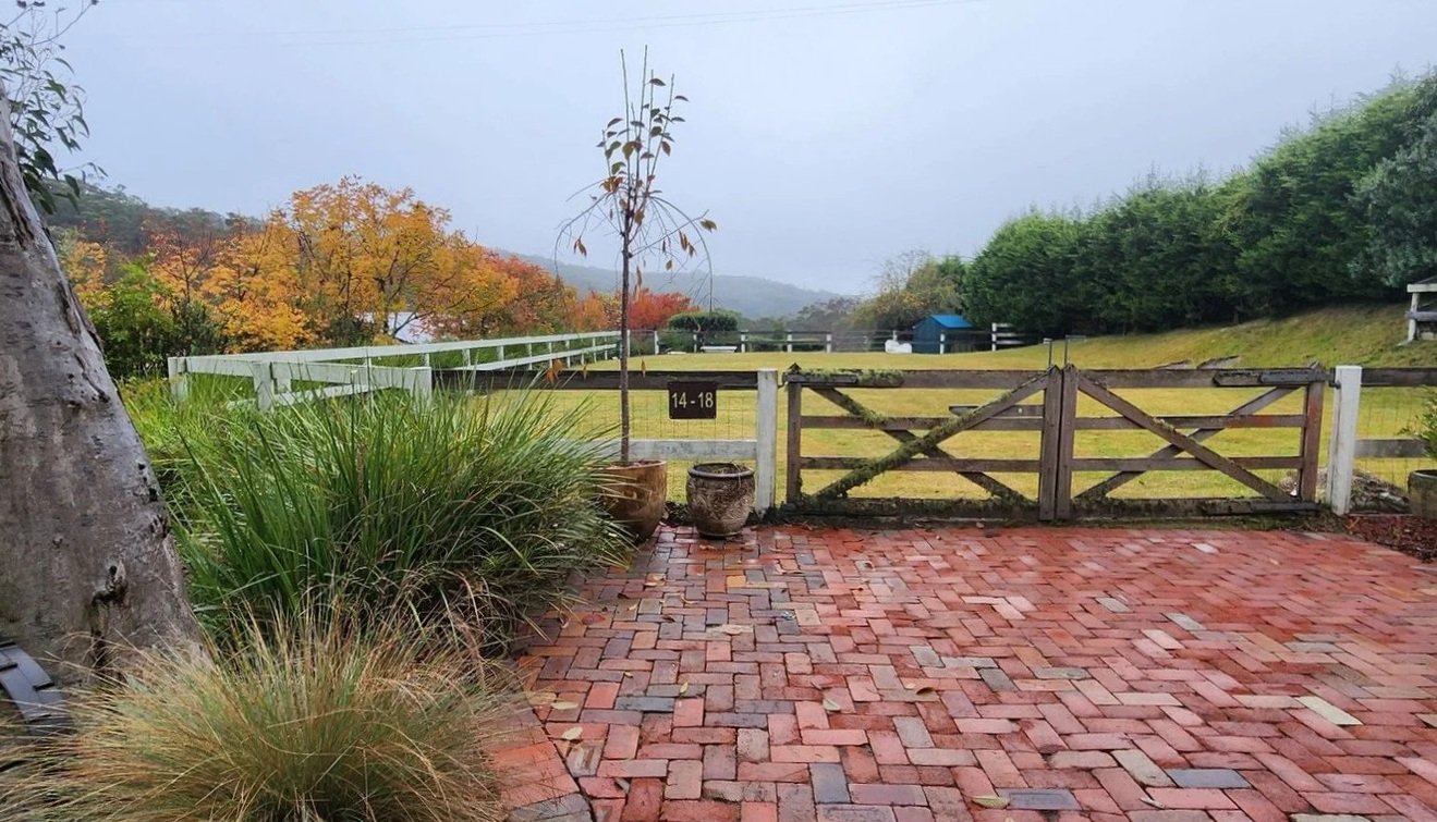 View from a brick patio with potted plants and a young tree, overlooking a grassy fenced area with trees displaying fall foliage in the background, and a small blue shed in the distance.