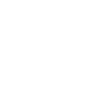 Drawing of a camera with three leaves around it on a black background.