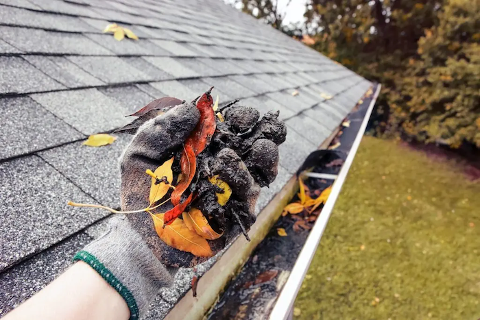 A person wearing a glove holding a handful of wet leaves and dirt on a roof, with fallen leaves and trees in the background.