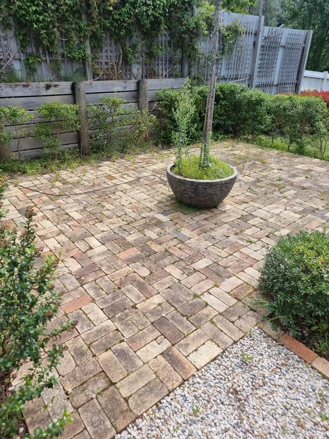 Backyard patio with interlocking brick pavers and a large round planter with small trees. Wooden fence with greenery in the background.