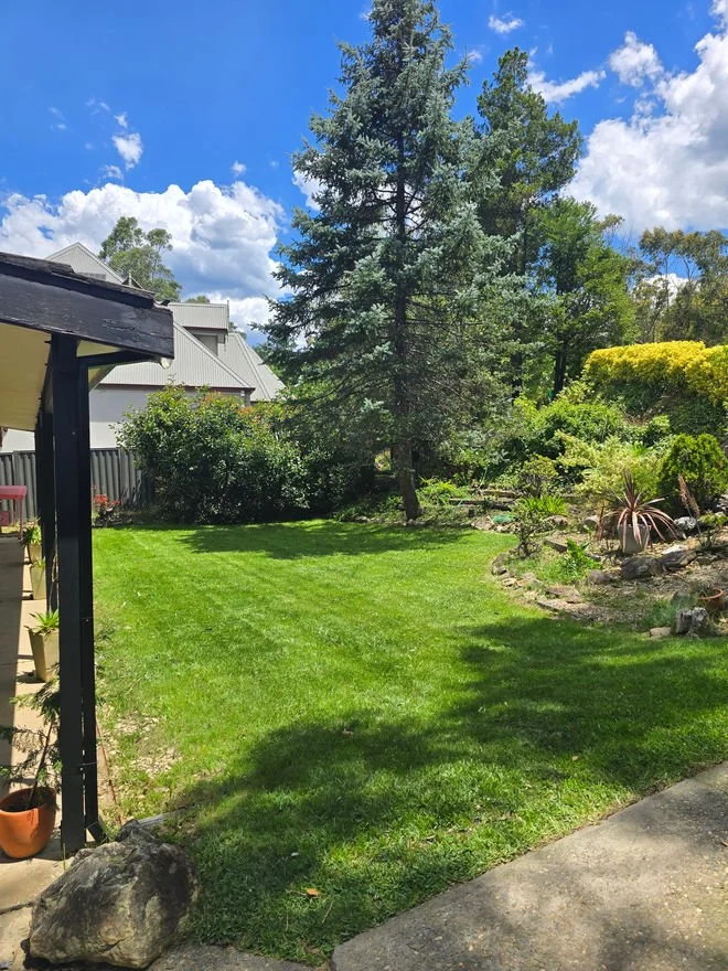 A backyard garden with a bright green lawn, blooming bushes, a large pine tree, and a sunny sky with clouds.