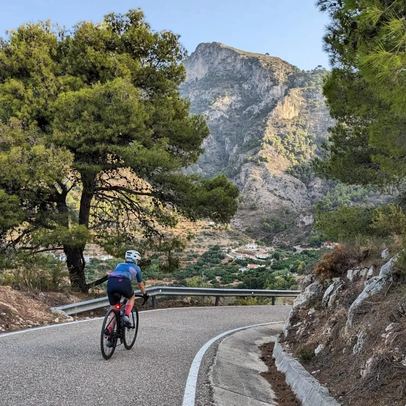 A cyclist riding on a winding mountain road surrounded by trees and rocky terrain, with a mountain range in the background.