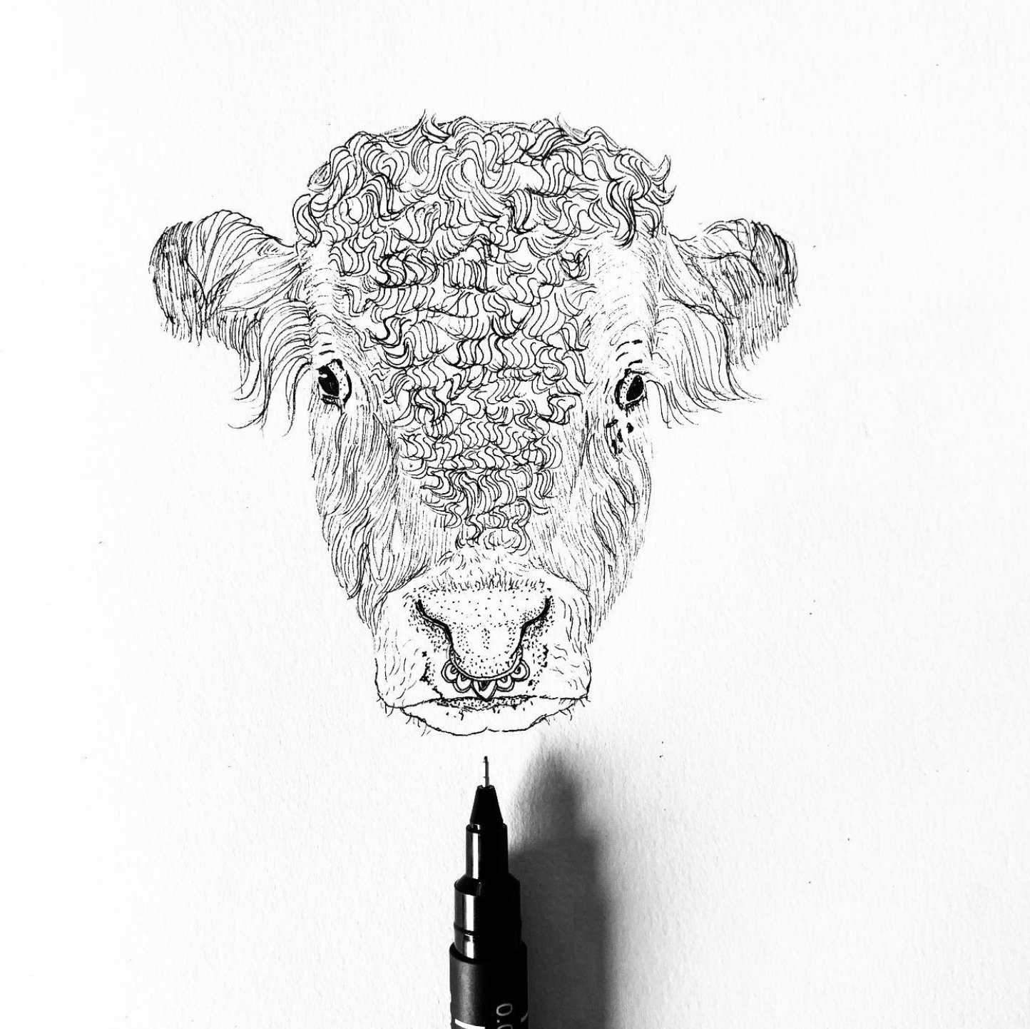 Black ink drawing of a cow's face on white paper, with a black fine-tipped pen at the bottom.