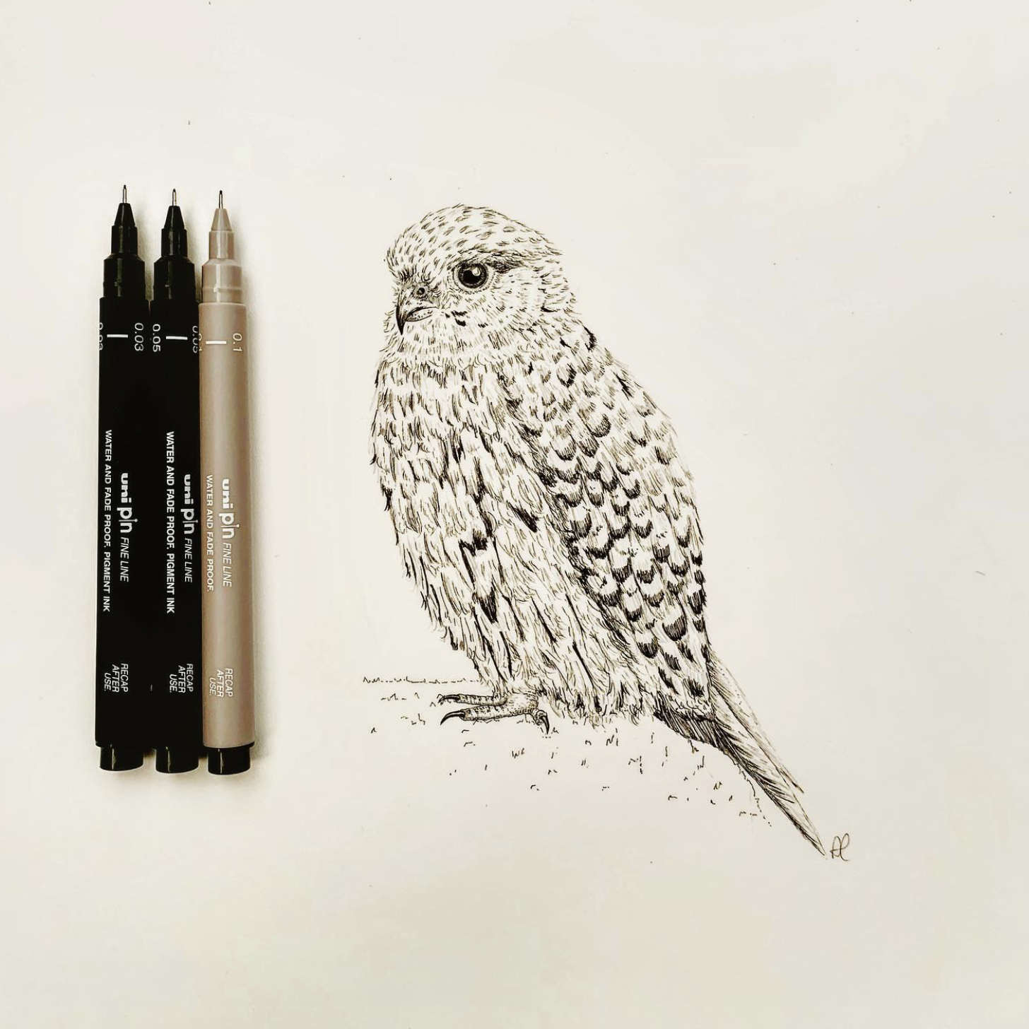 Detailed black and white ink drawing of a hawk on white paper, with three pens placed vertically on the left side.