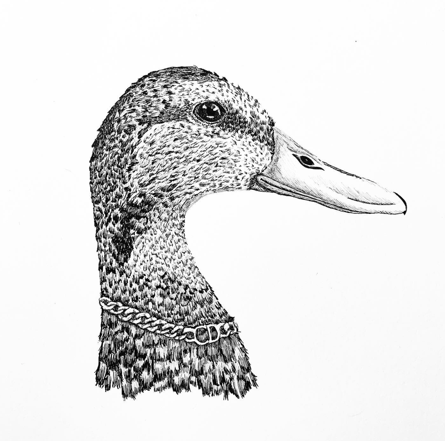 Black and white illustration of a duck with a chain necklace.