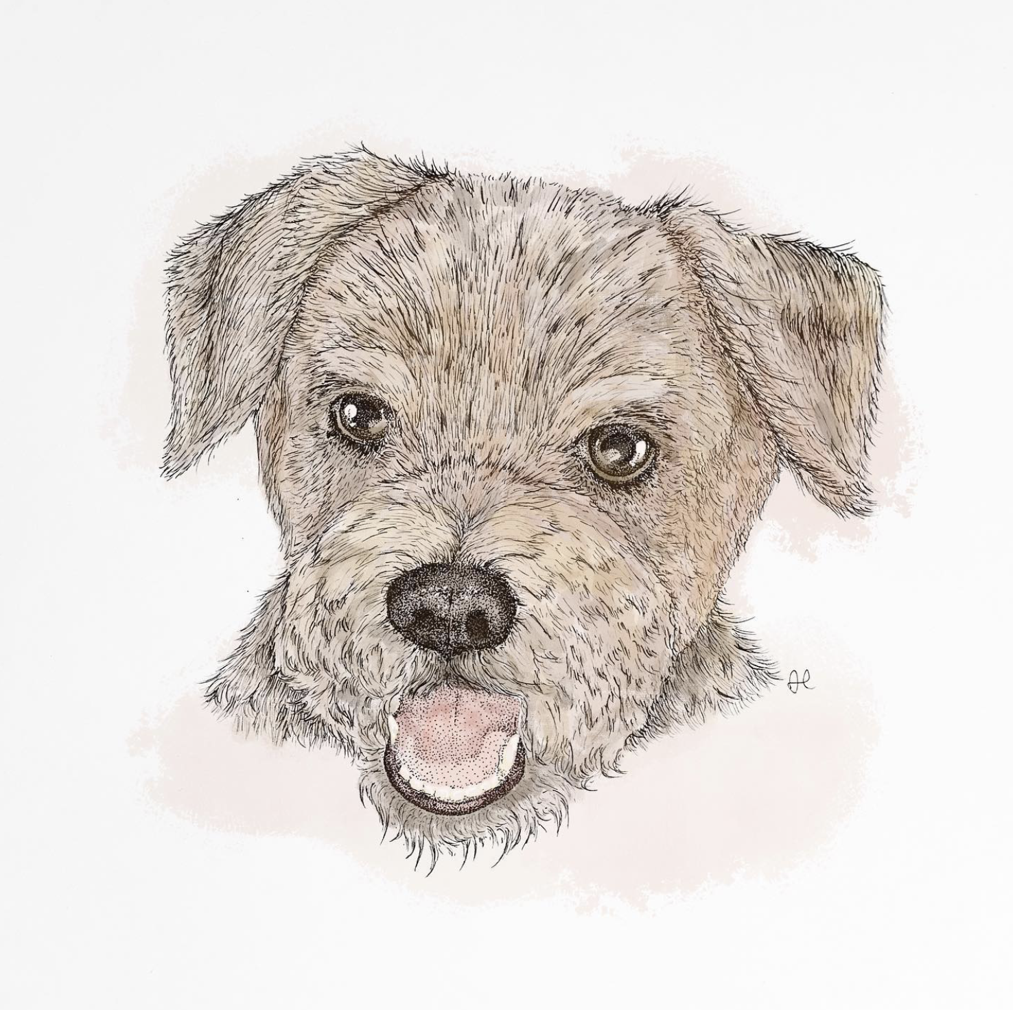 Illustration of a happy puppy with beige and brown fur, dark eyes, black nose, and an open mouth showing tongue.