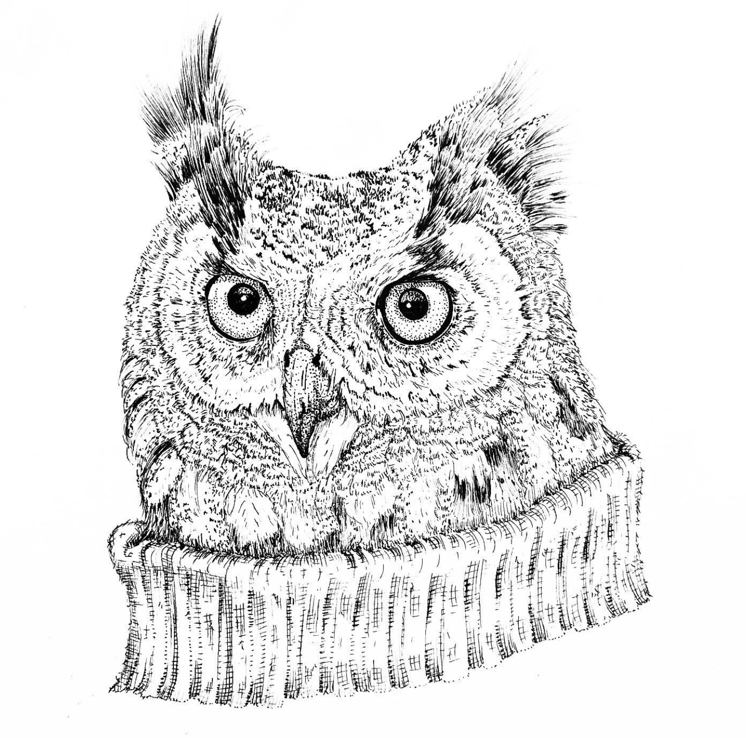 Line drawing of an owl wearing a knitted sweater.