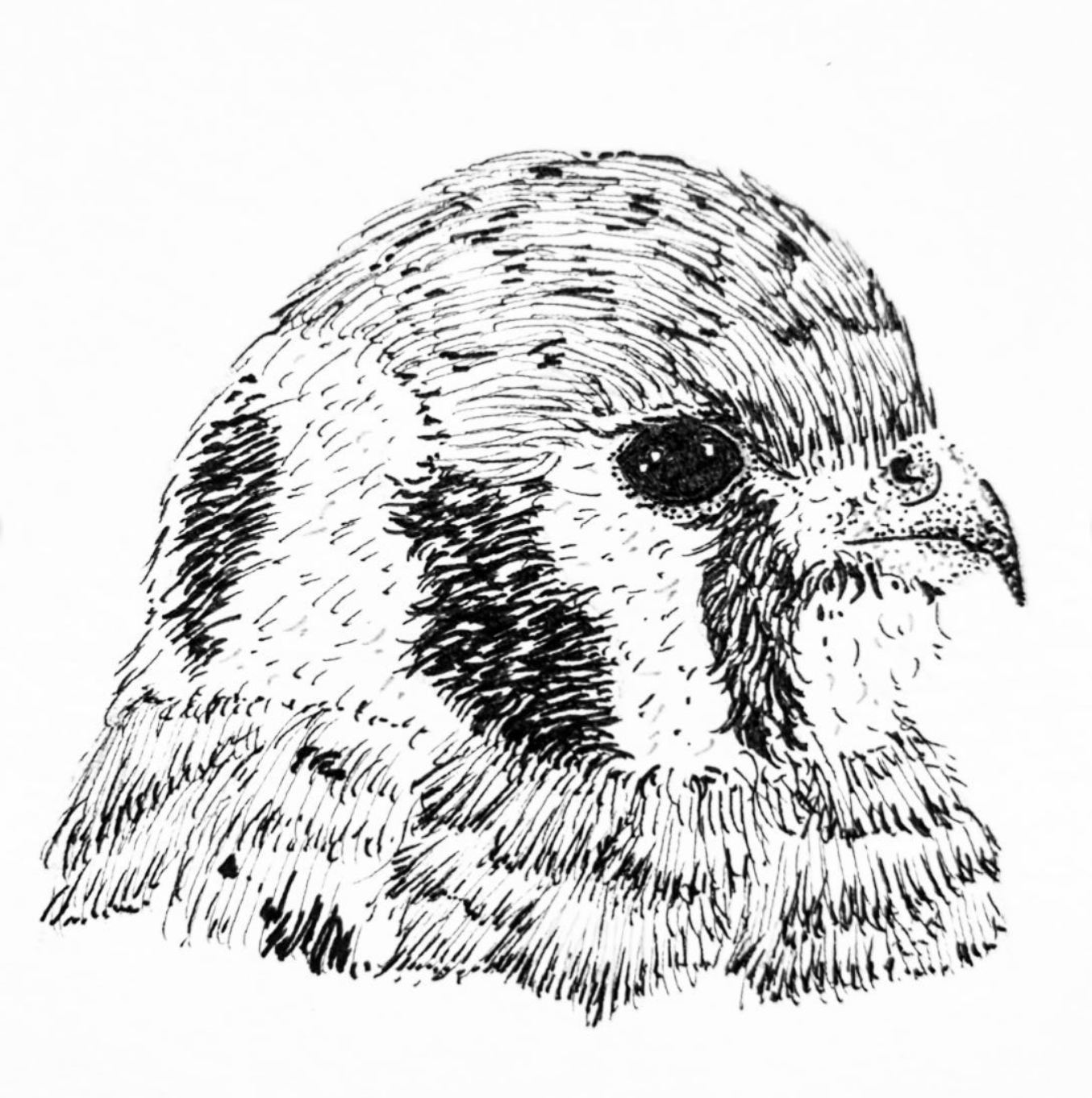 Screenshot 2025-12-23 at 12.52.24.png