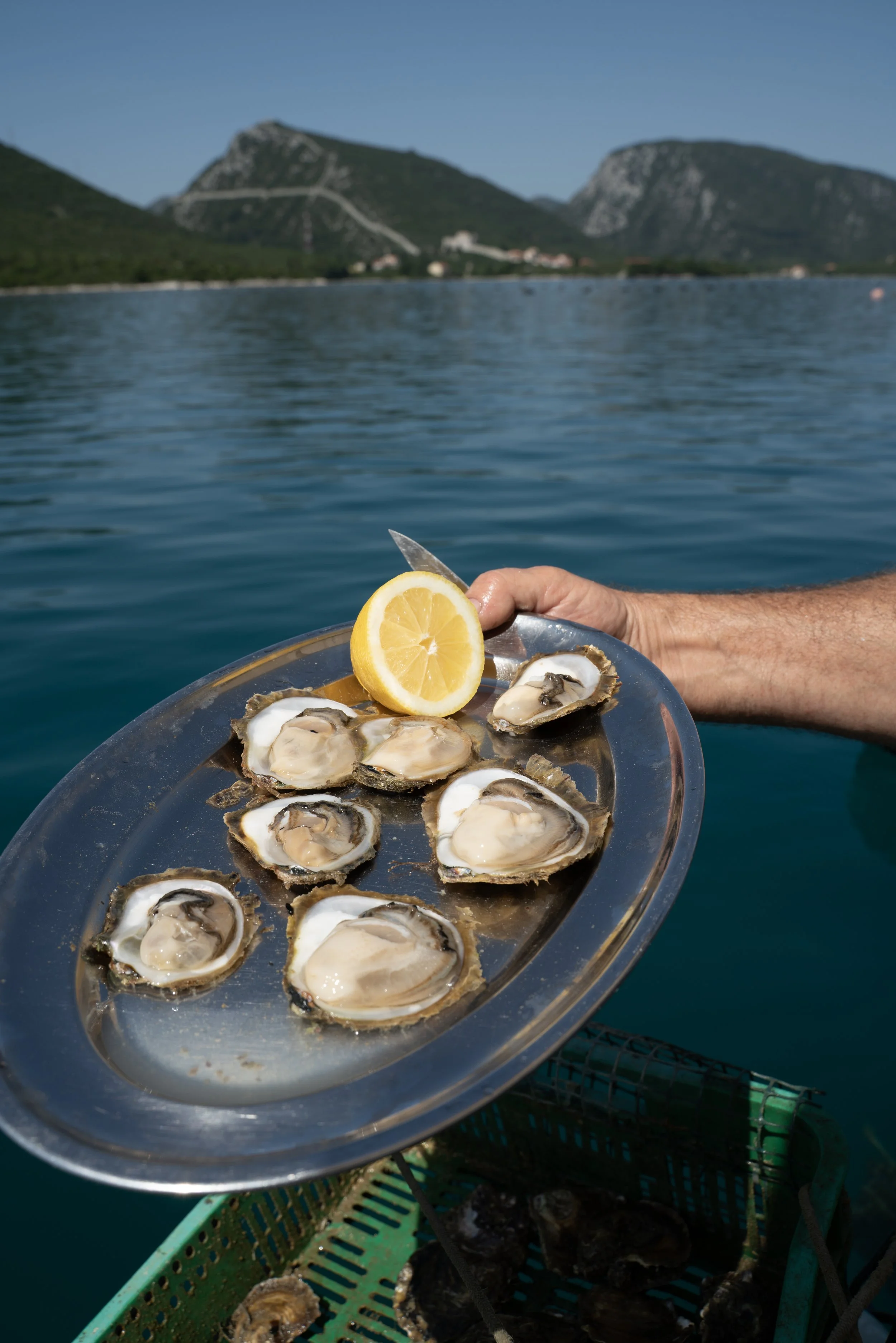 Ston Kamenice_121.jpg