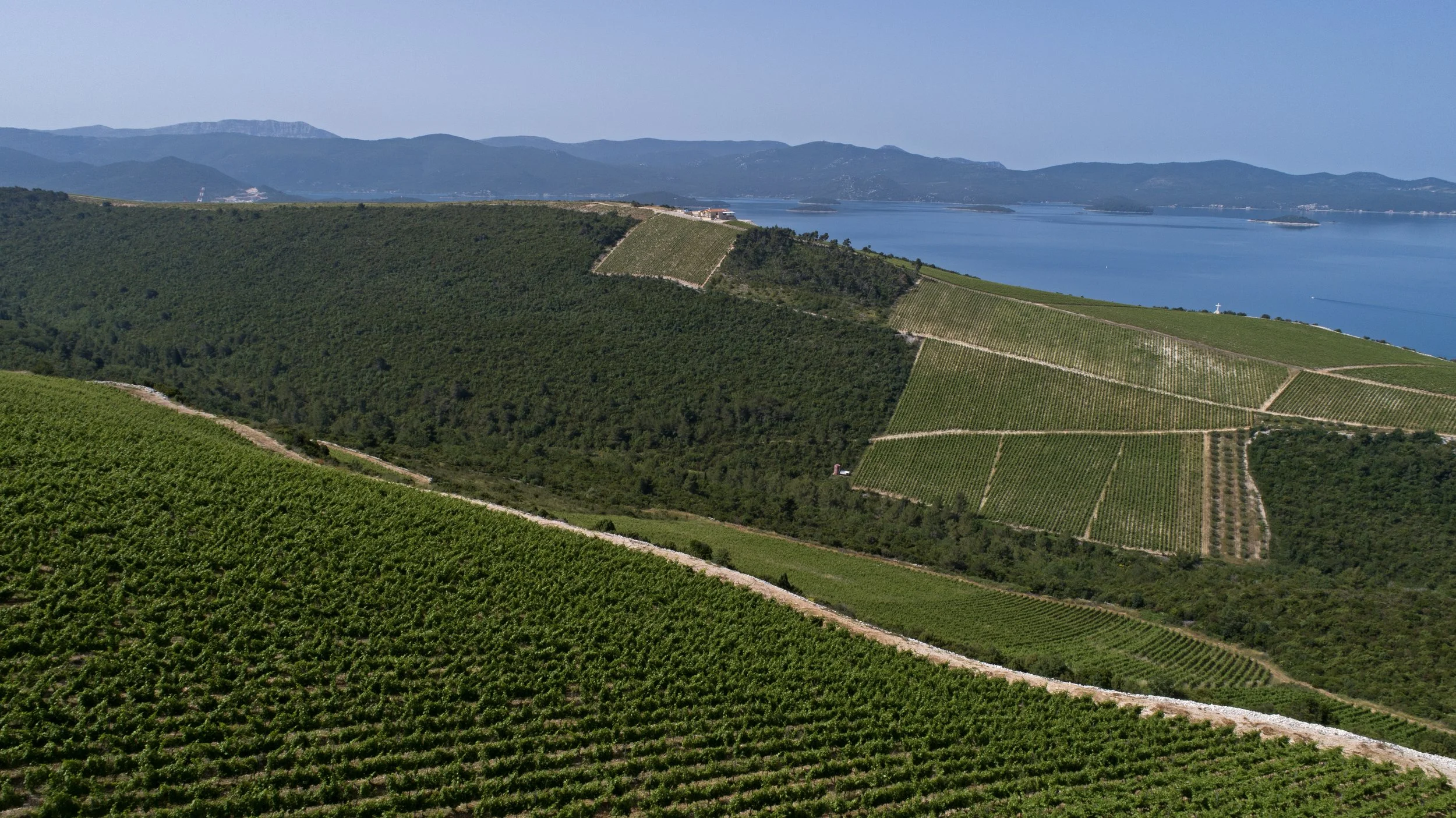 Vinogradi Rizman Klek Air_4.jpg