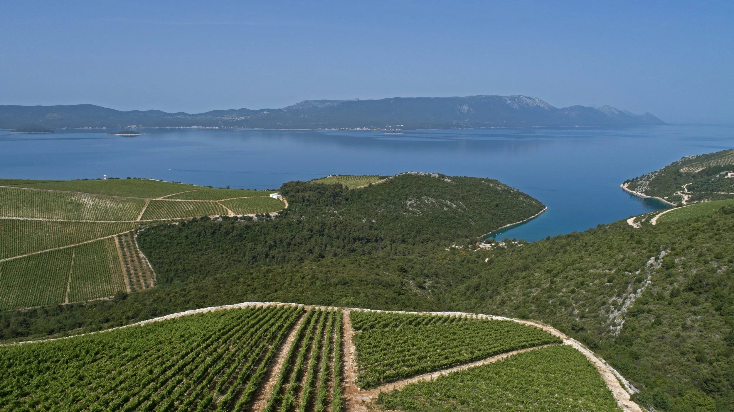 Vinogradi Rizman Klek Air_1.jpg