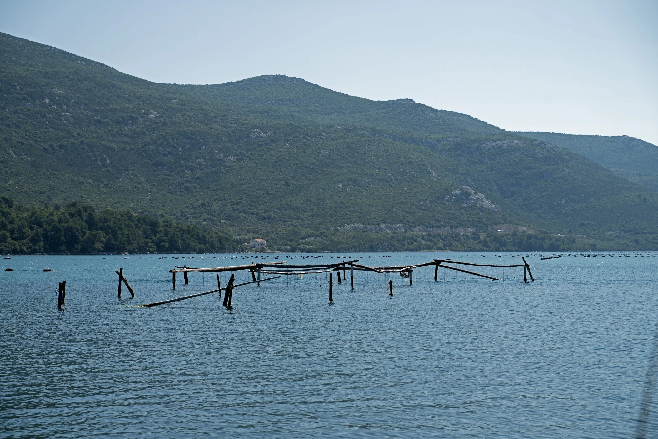 Ston Kamenice_18.jpg