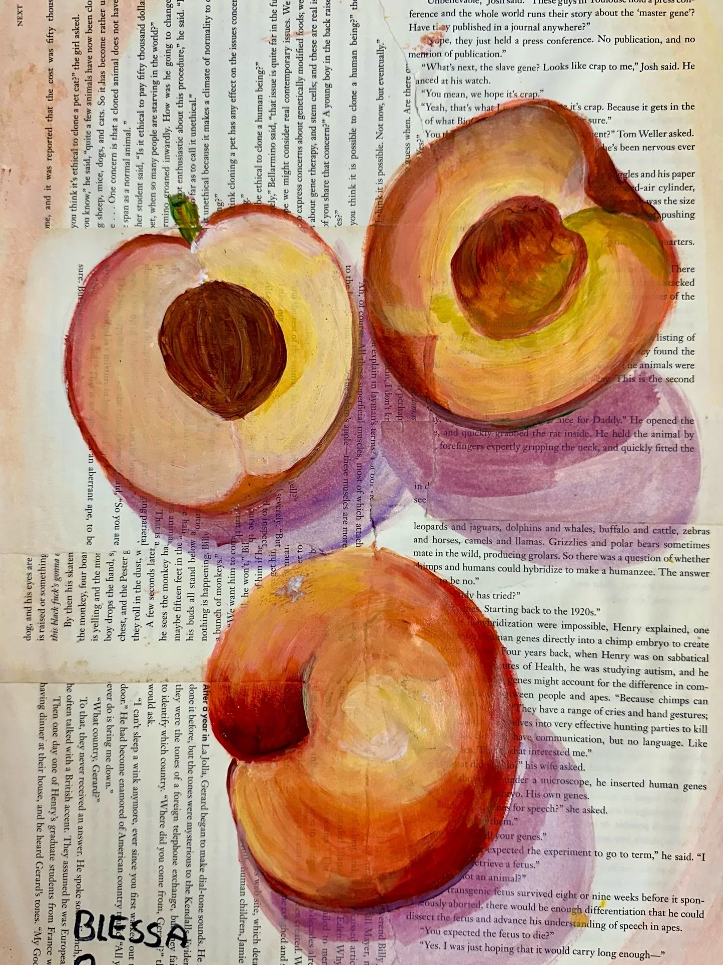 Peaches in Still Life 🎨