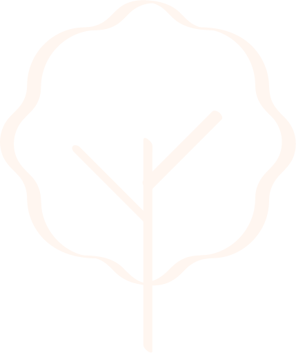 Mindful Sustainability Report