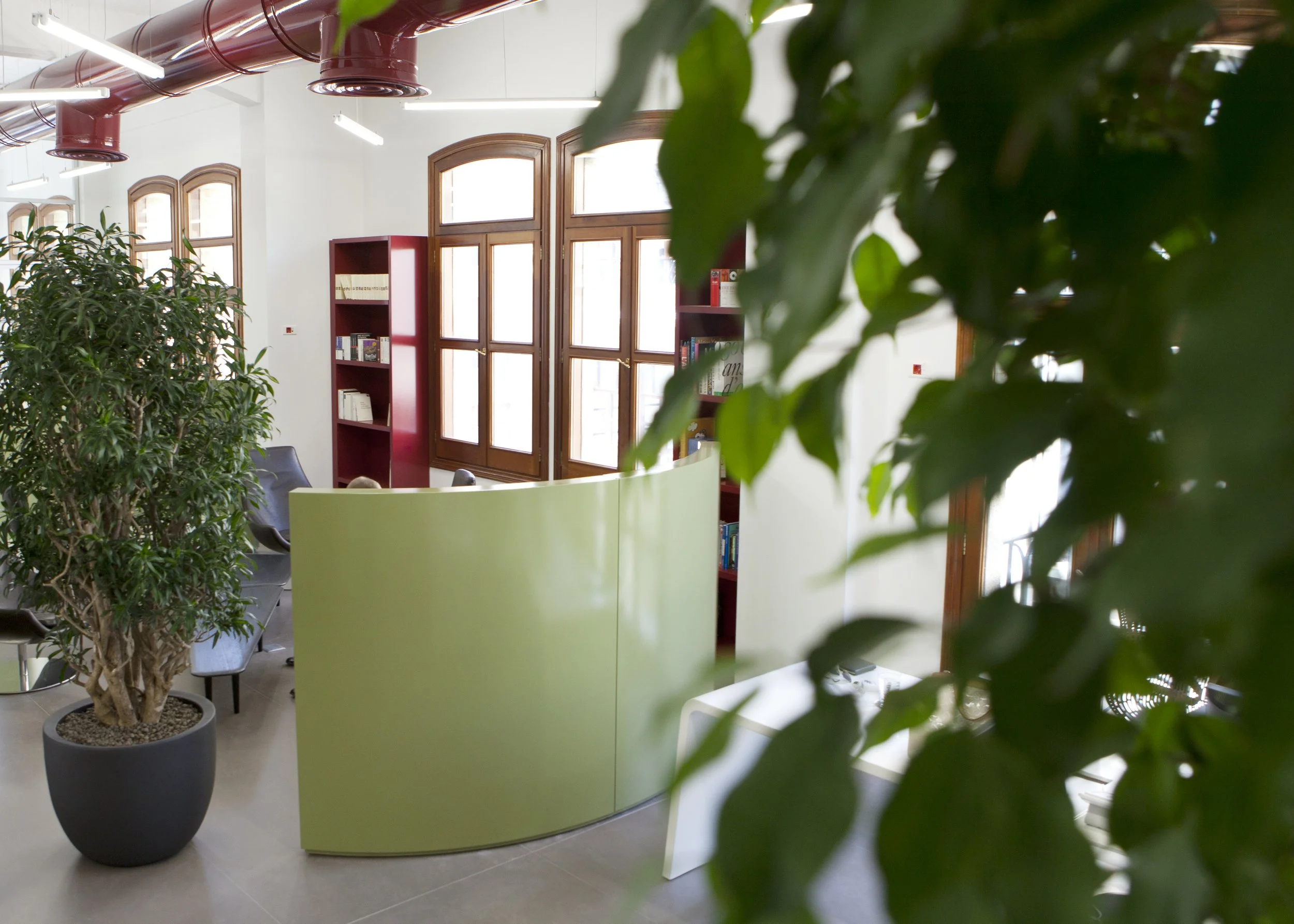 Interior of a modern office or library with large windows, green partition, bookshelves, and potted plants, with part of a leafy plant in the foreground.