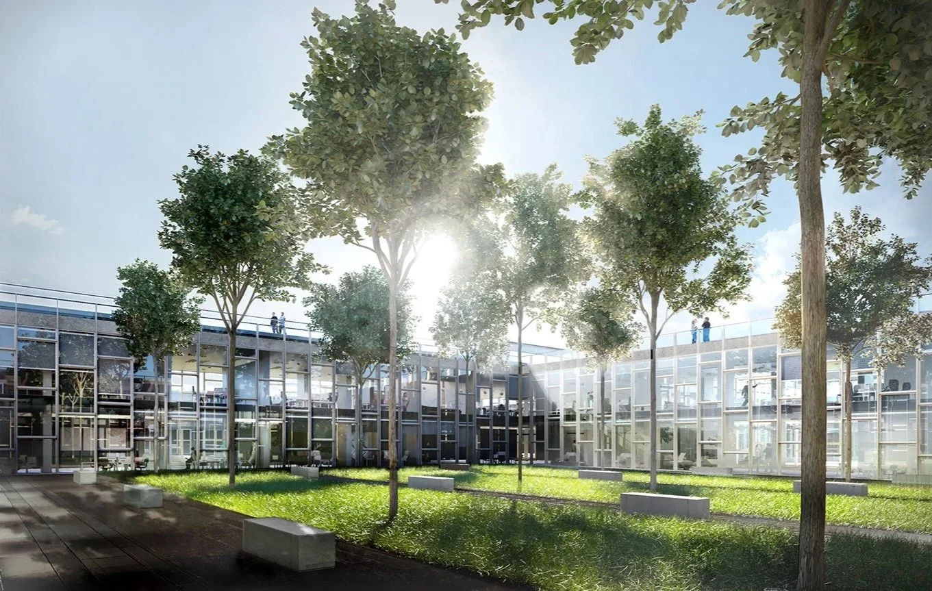 Modern office building with glass walls and an interior courtyard filled with grass and trees, with the sun shining brightly.