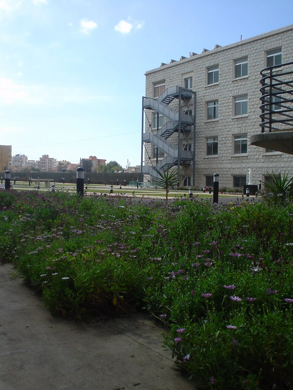 A city scene featuring a building with multiple windows, a fire escape, and a rooftop terrace. In the foreground, there are green bushes with purple flowers along a sidewalk, with a clear blue sky above.