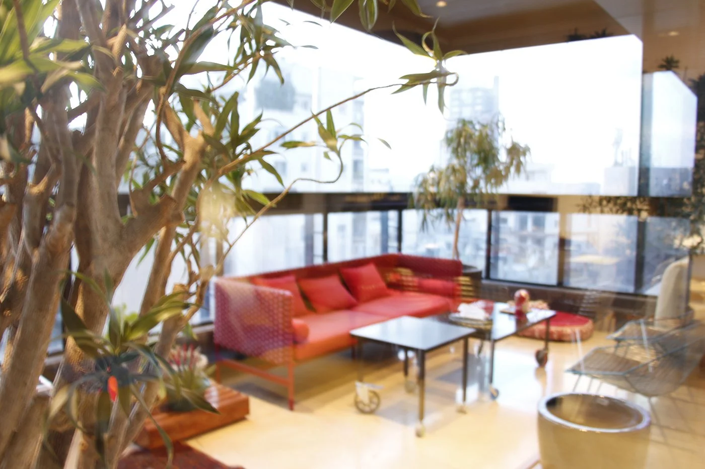 A cozy living room with large windows, a red sofa, glass coffee tables, and various potted plants.