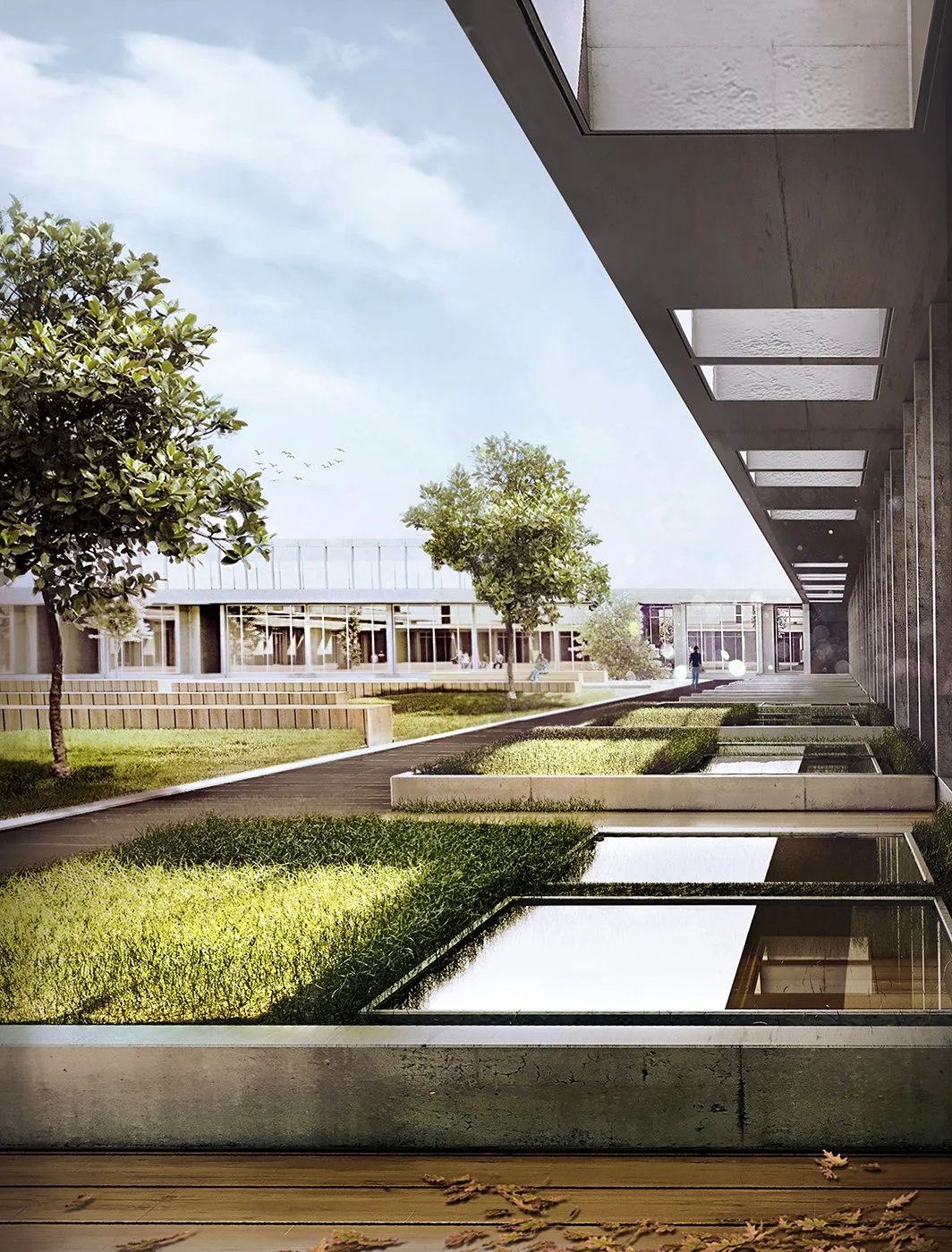 Modern building's courtyard with manicured grass, trees, reflecting pools, and architectural overhangs.