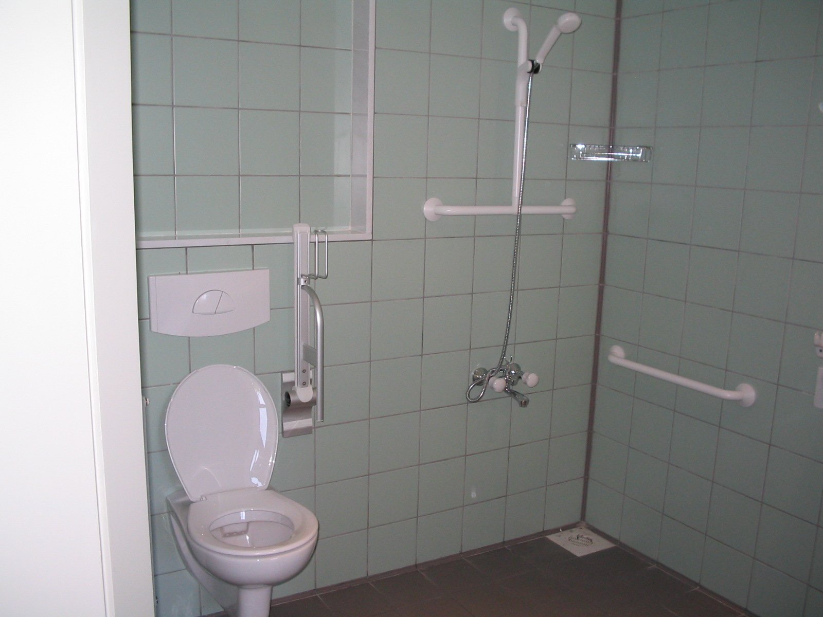 Accessible bathroom with grab bars, a toilet with a wall-mounted flush panel, and a shower area with a hand-held showerhead and grab bars.
