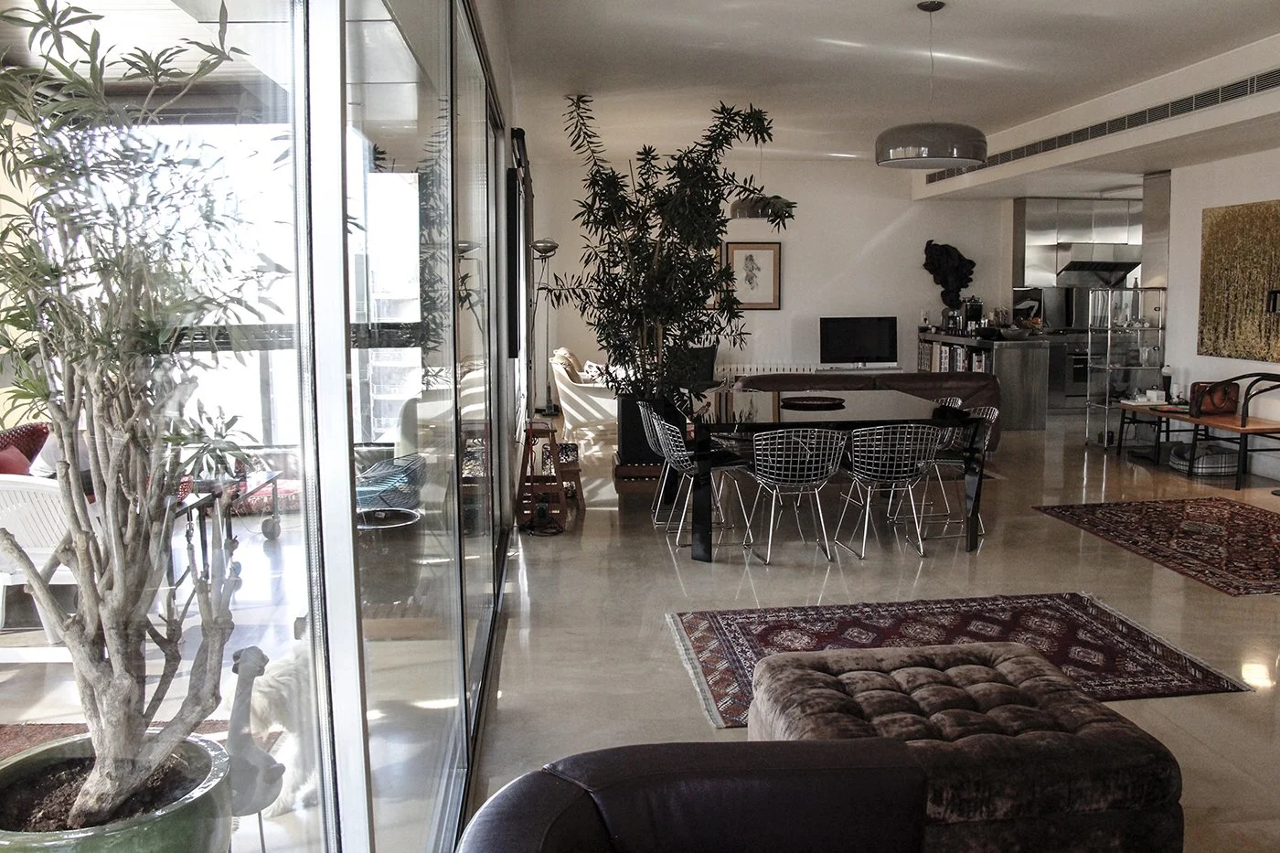 A spacious living area with a large window on the left, a potted plant near the window, a central dining table with wire chairs, a small TV, decor items, and a kitchen area in the background with stainless steel appliances. There are rugs on the poli