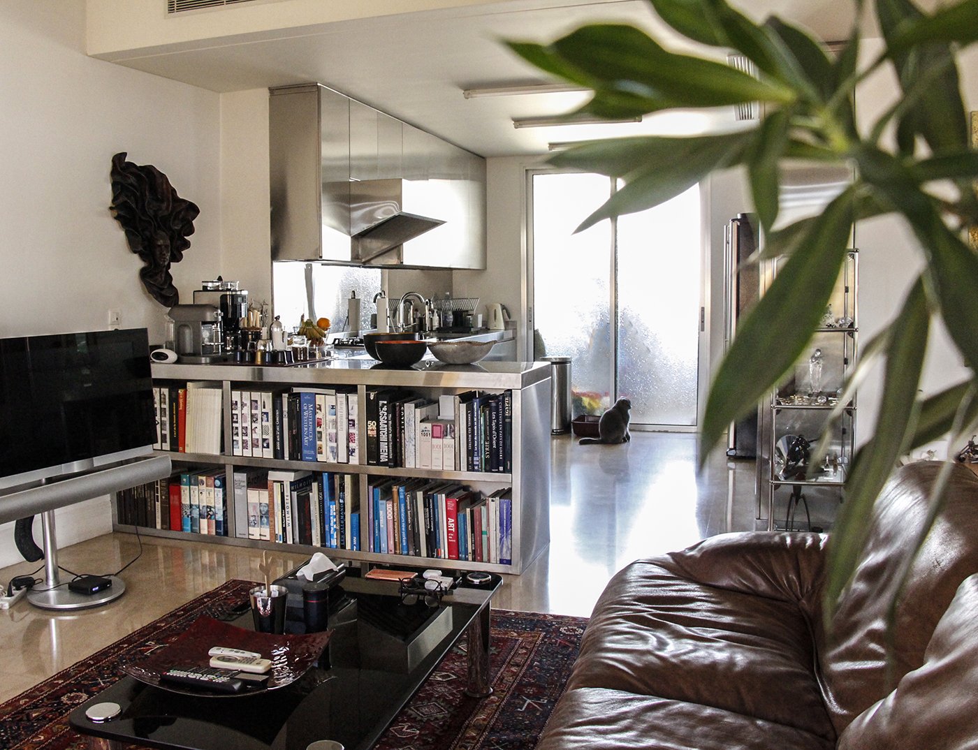 Living room with a brown leather sofa, bookshelf with books, TV, coffee table with remote controls, and a kitchen area with a counter, utensils, and a black cat sitting near the door.