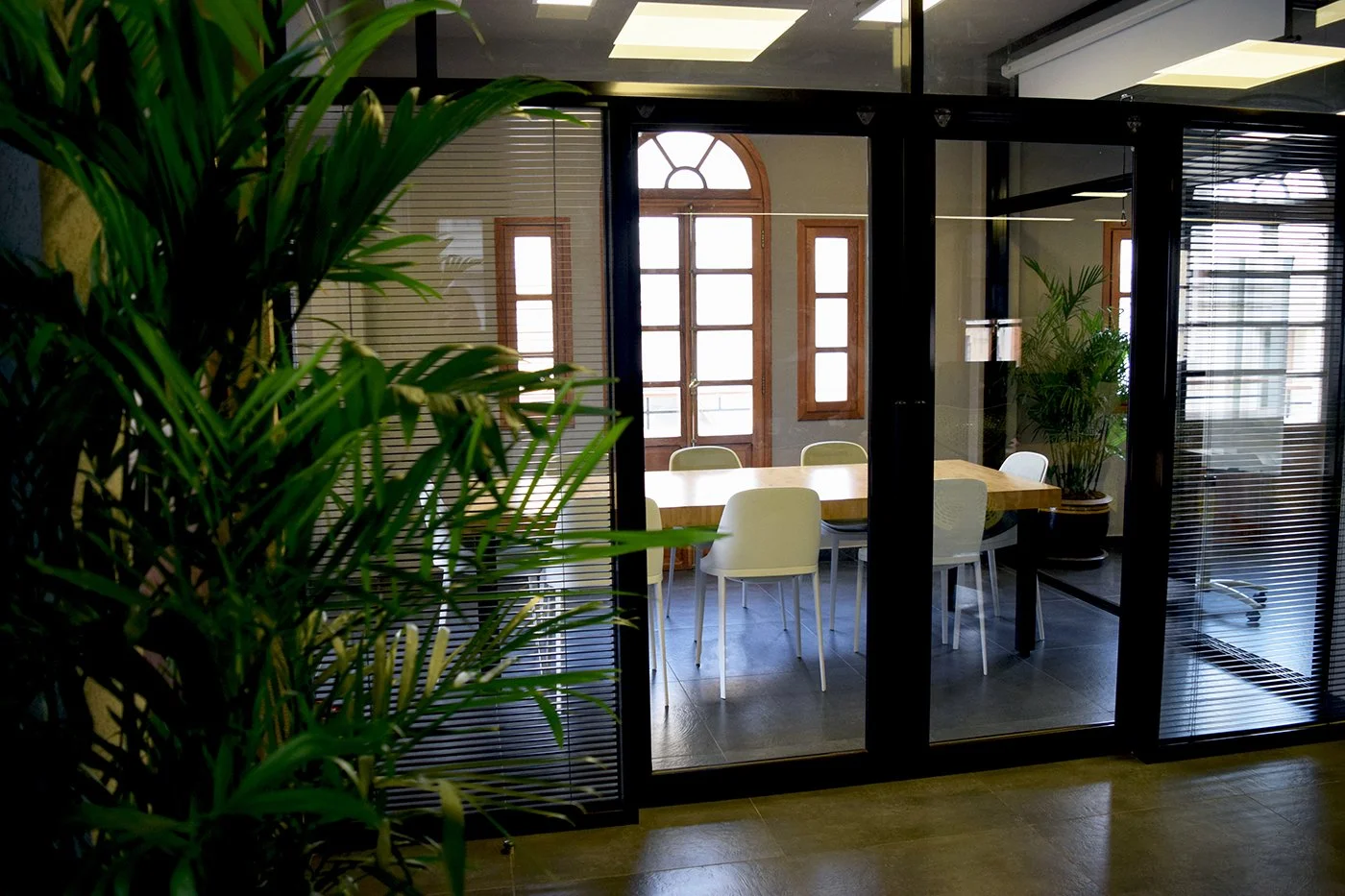 Inside an office conference room with a wooden table and white chairs, seen through glass walls with blinds, with a large potted plant near the window.