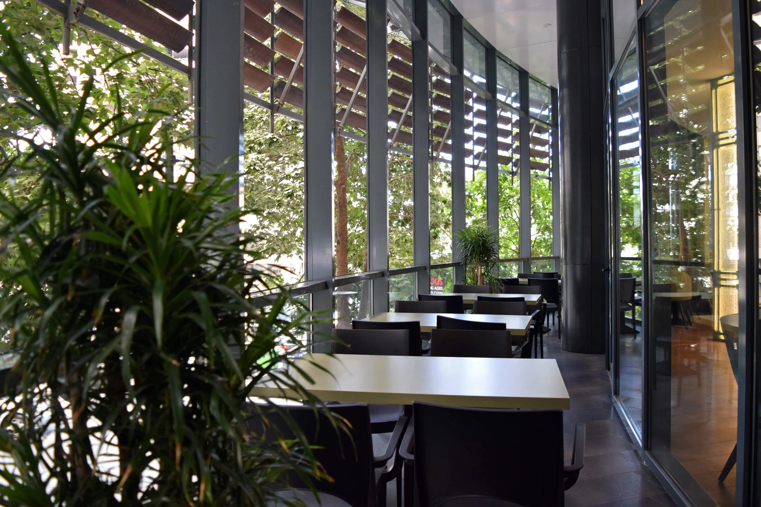Interior of a modern restaurant with large windows, green plants, tables, and chairs.