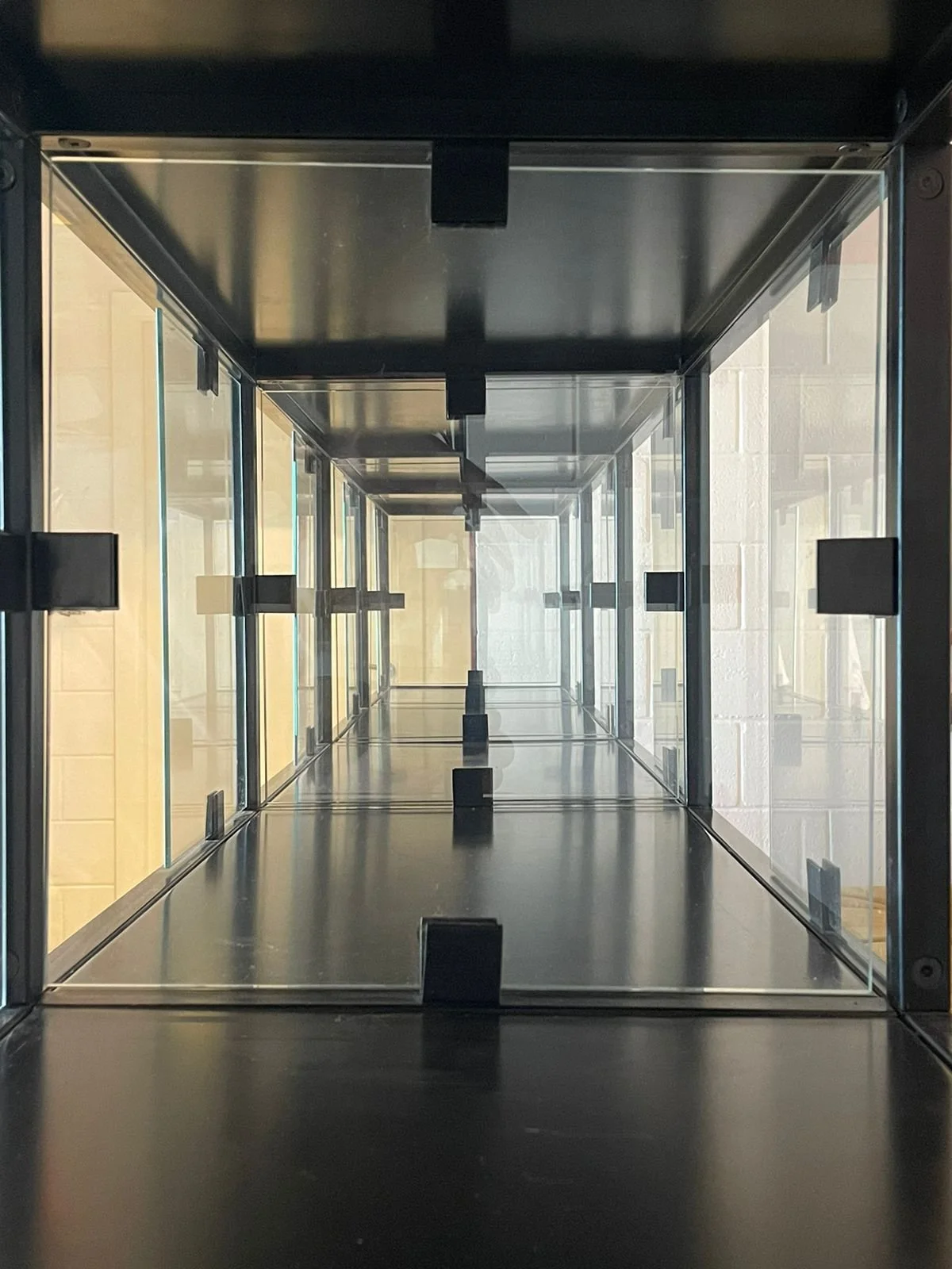 Inside view of a metallic and glass display case with multiple compartments, looking through the front to the back.