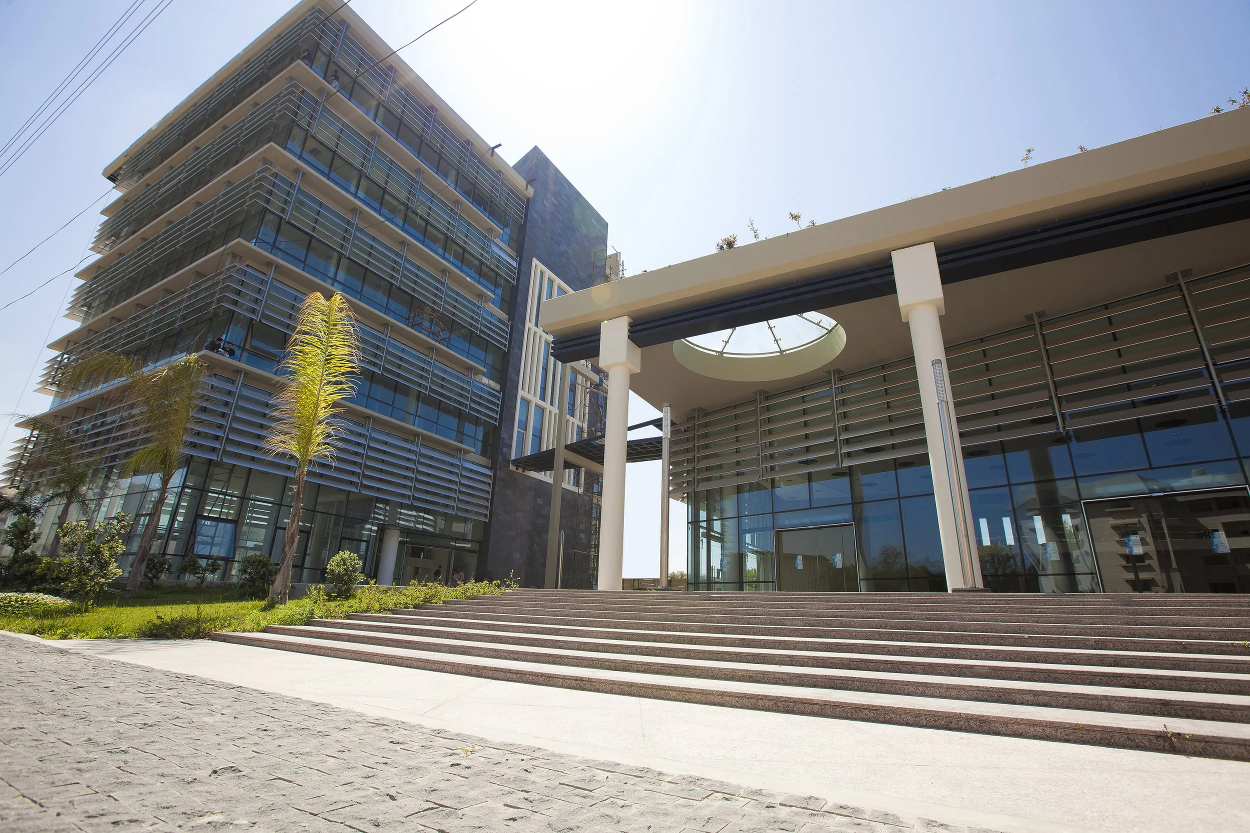 Modern multi-story building with glass windows, outdoor stairs, and palm trees in the foreground under a bright sunny sky.