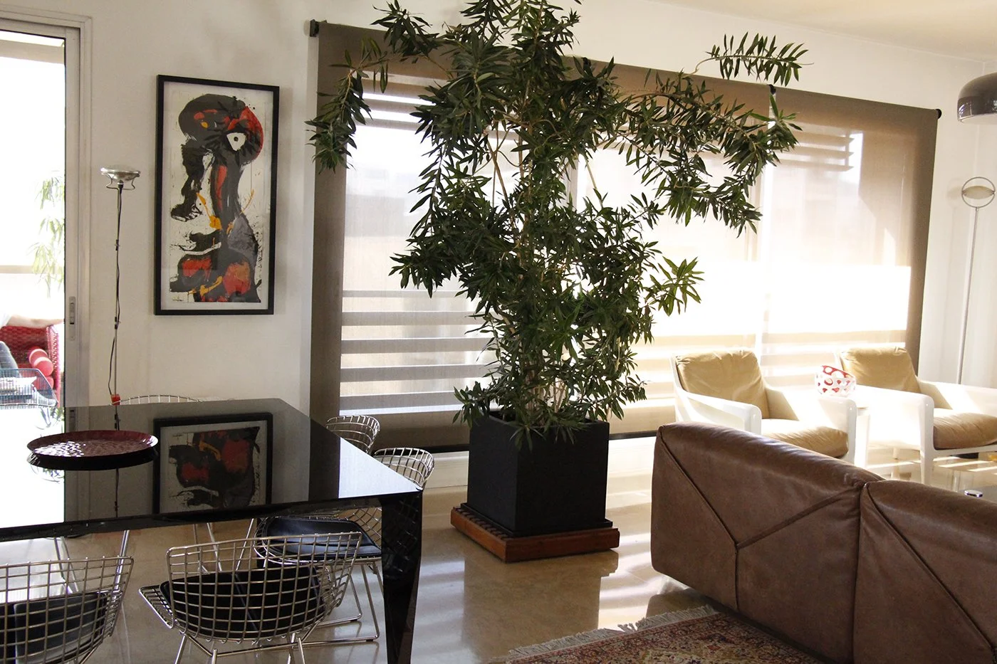 A living room with a large potted plant in the center, beige and white chairs, a brown leather couch, artwork on the wall, and natural sunlight filtering through window blinds.