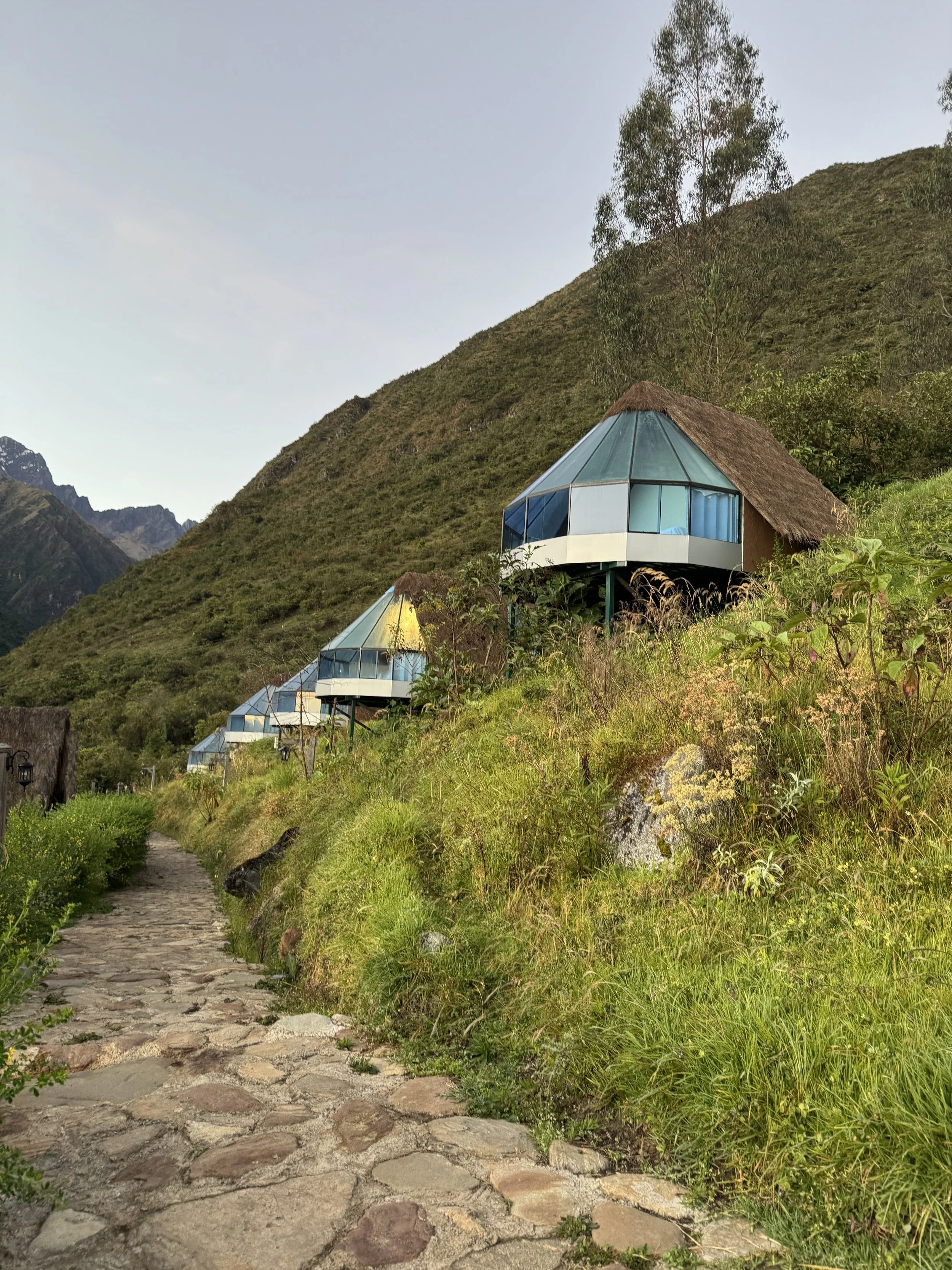Peru, Salkantay Trek., Several glass houses with thatched roofs built on a hillside with grass and wildflowers, surrounded by mountains and a stone pathway.