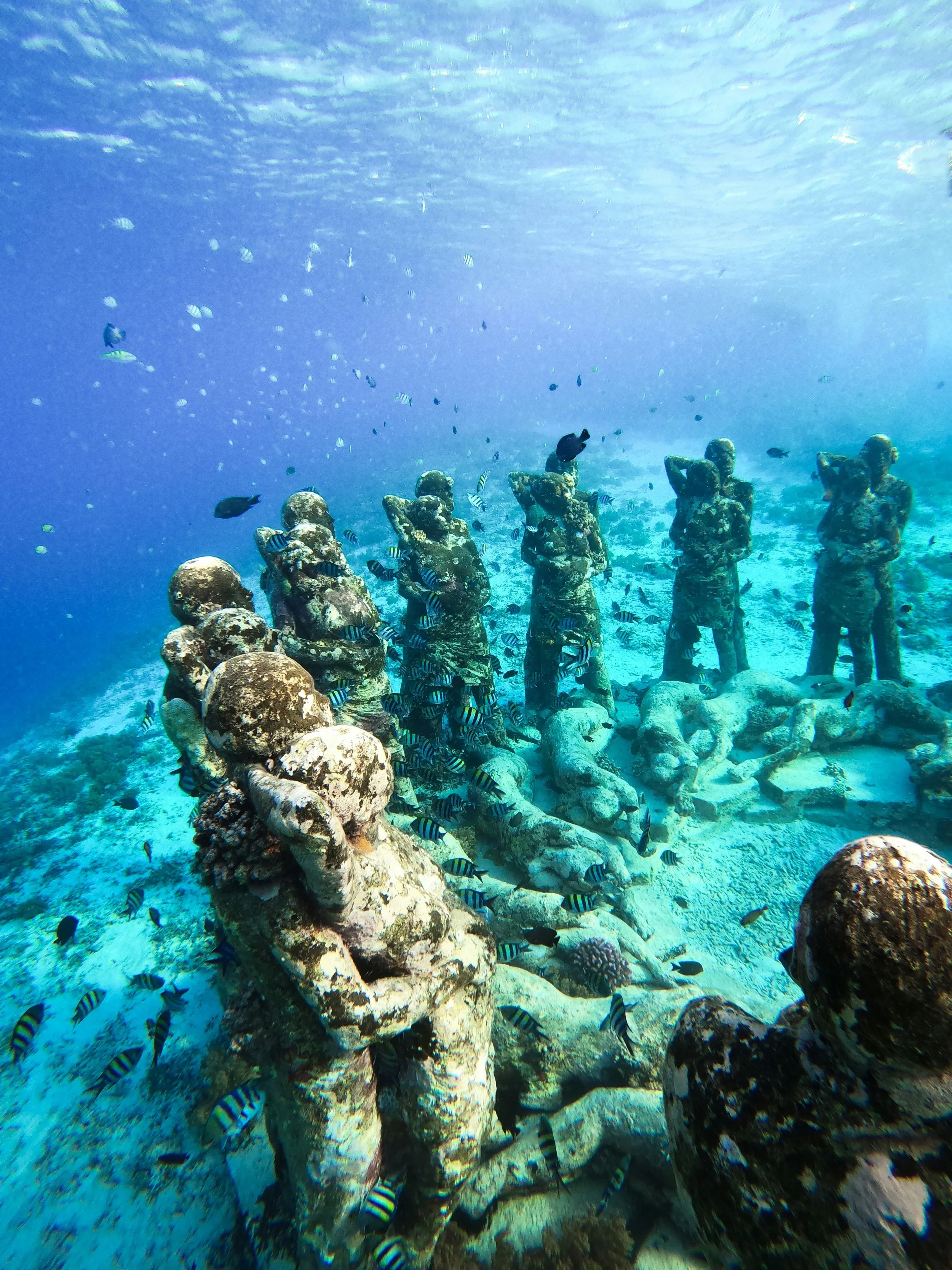 Underwater scene with multiple stone statues of people, surrounded by coral and small fish.