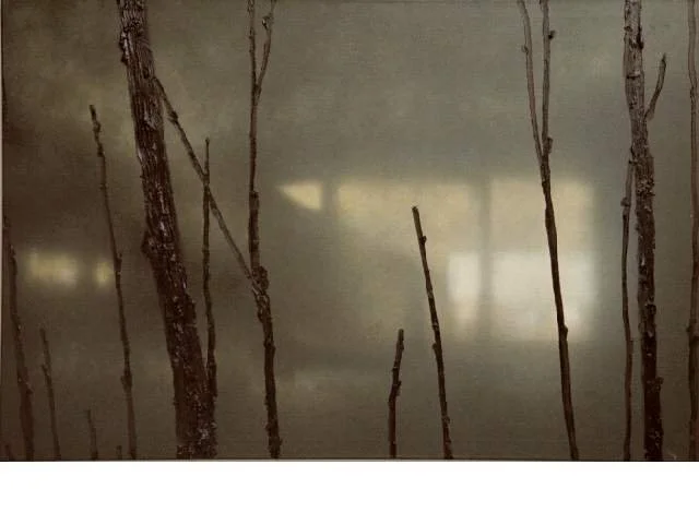 Nass gekrümmte Äste gegen eine schmutzige Fensterscheibe, die Licht durchlässt.