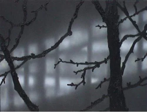 Die Illustration zeigt kahle Baumzweige in einem nebelverhangenen Wald.