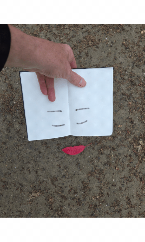GIF_20260510_074431_955.gif