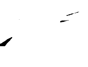 Schwarz-weiße Illustration eines Vogels im Flug