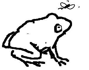 Zeichnung einer Frösche mit Fliege