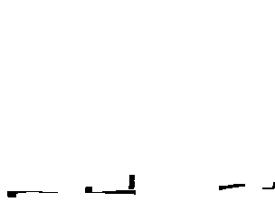 Ein kleiner Hund sitzt auf einem weißen Hintergrund.