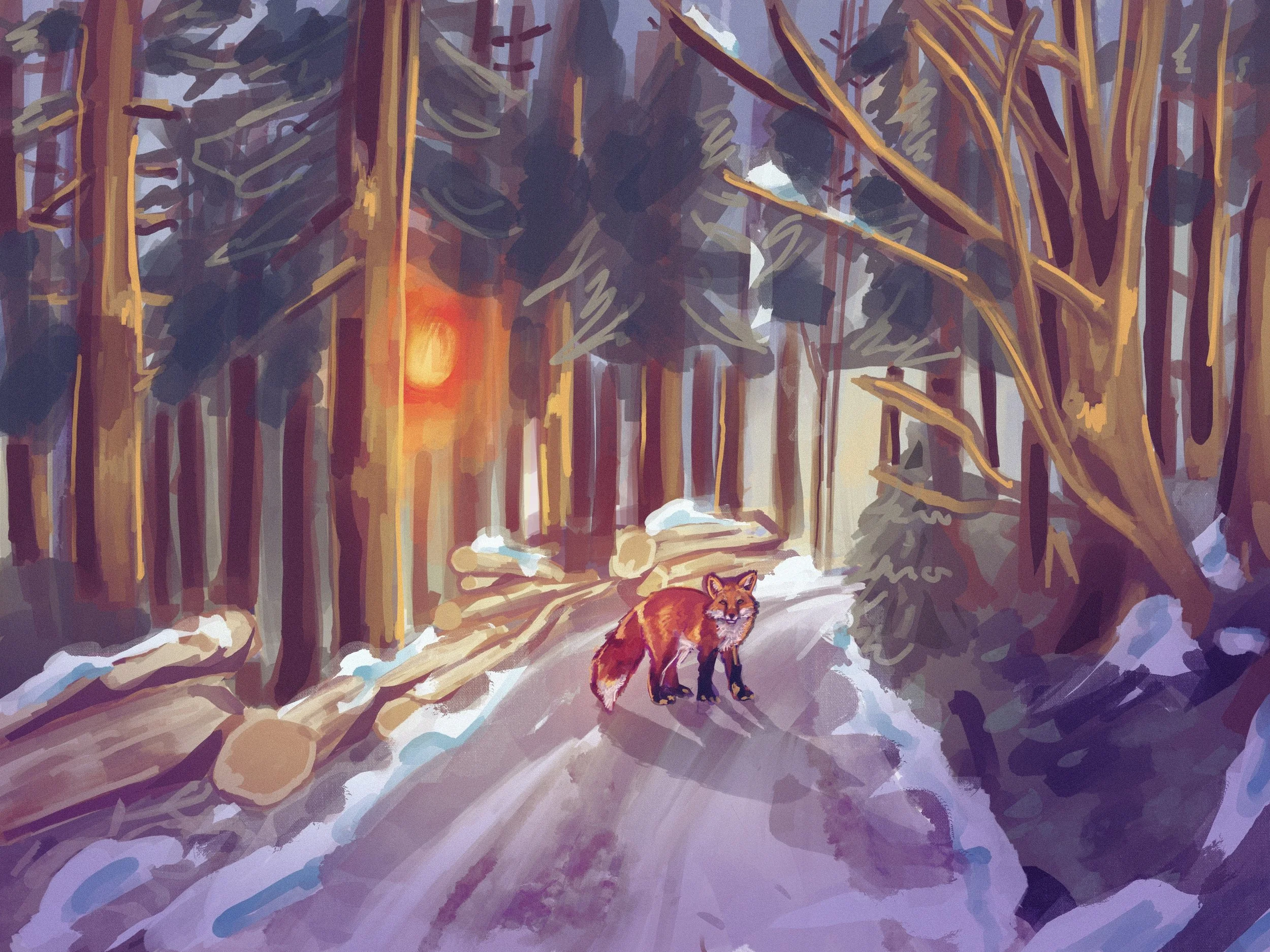 Environment Study - Forest