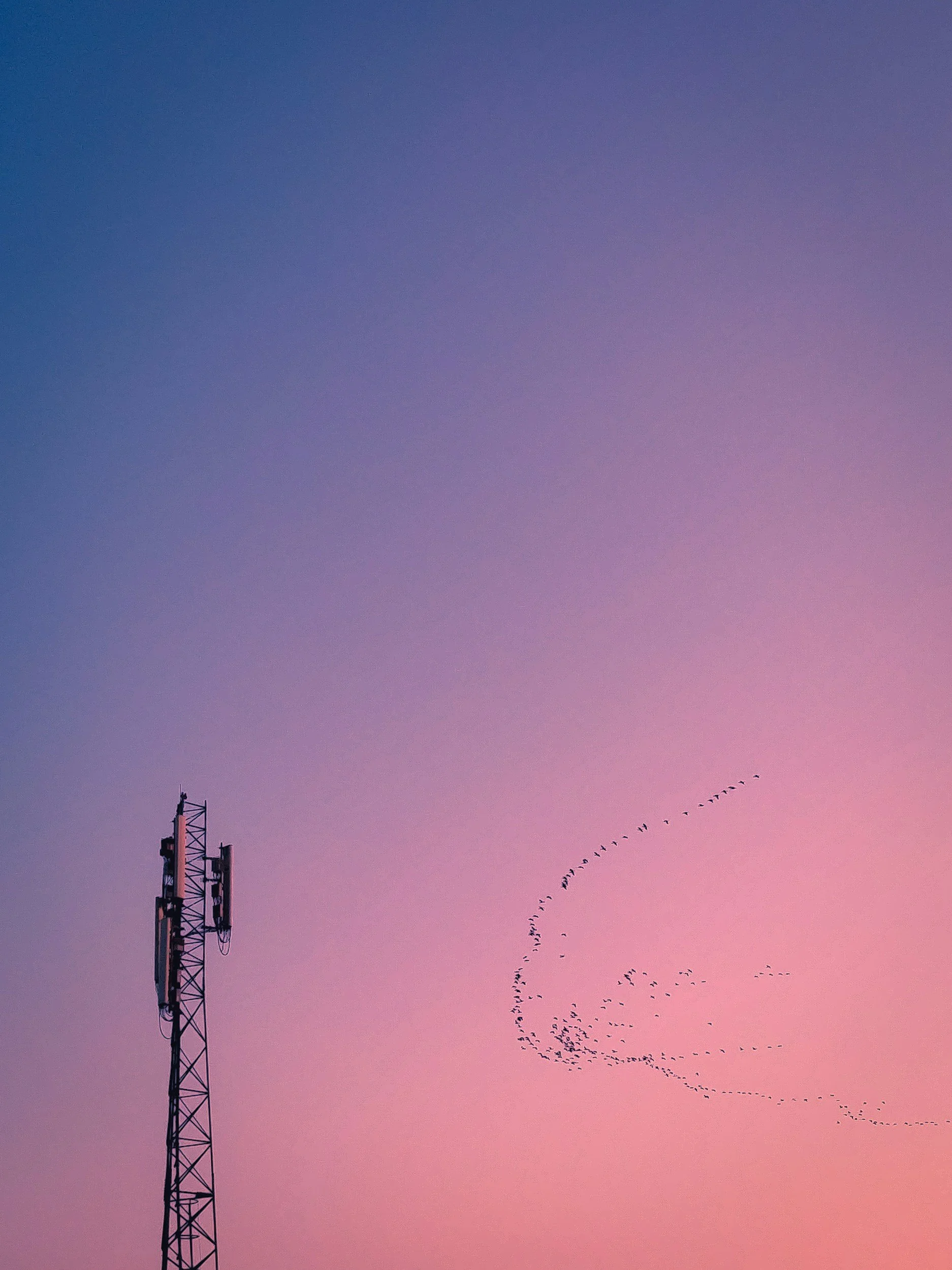 A telecommunications tower on the left side of the image against a pastel-colored sky with shades of purple and pink, and a flock of birds flying in formation across the sky.