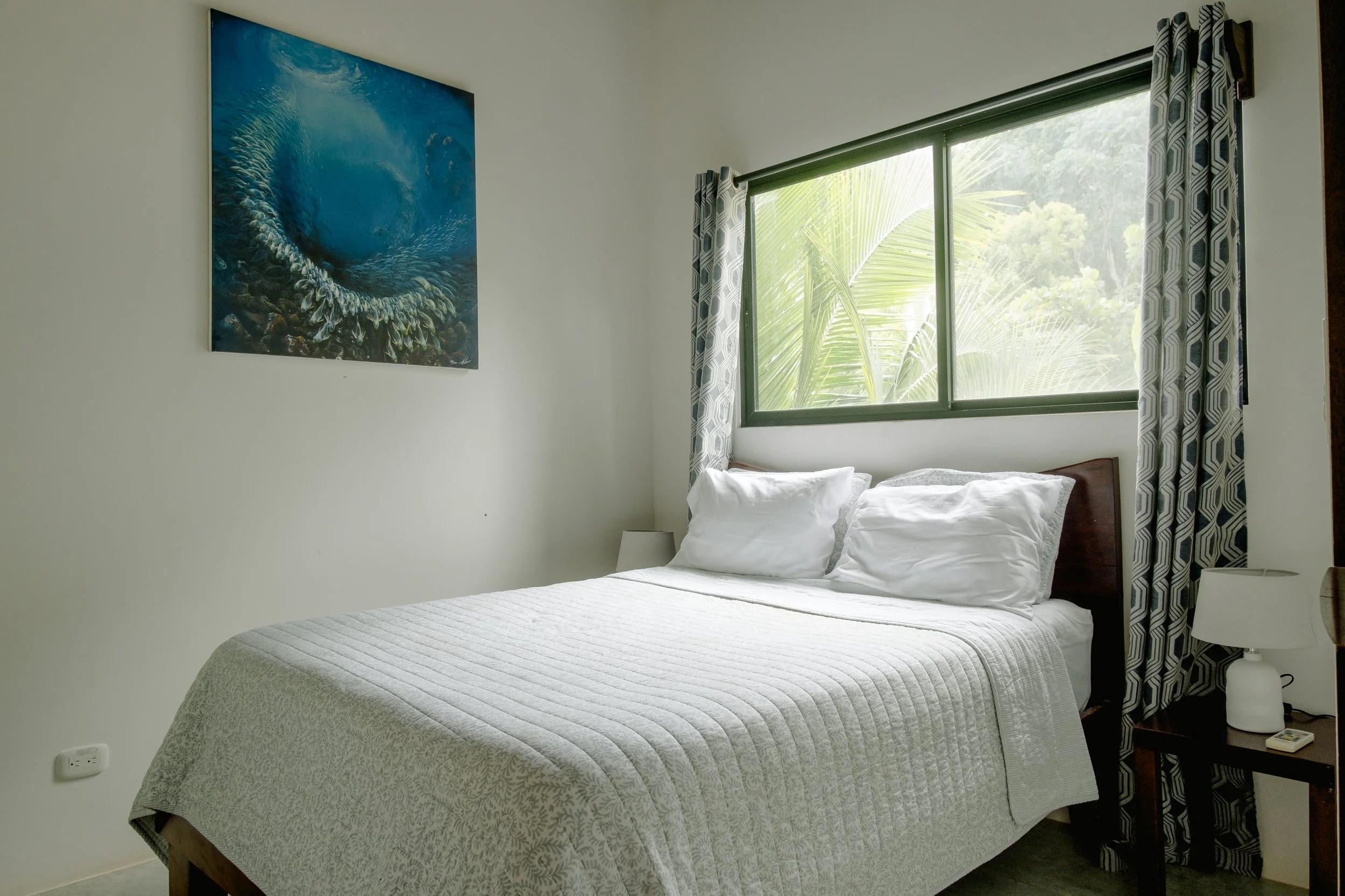 © Shawna Stanley 2025-12.jpg